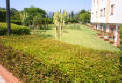 foto del verde all'esterno dell'Istituto